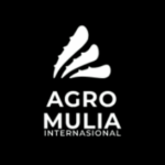 Logo Perusahaan PT. Agro Mulia Internasional - Lowongan Content Creator Tiktok