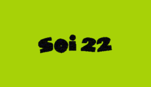 Logo Perusahaan SOI22 - Lowongan Kerja Part Time Cook – Floor Waiter