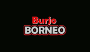 Logo Perusahaan Borneo Group Indonesia - Lowongan Kerja SPV Operasional – Kasir – Waiter & Bar – Koki – Social Media Specialist – Audit Keuangan