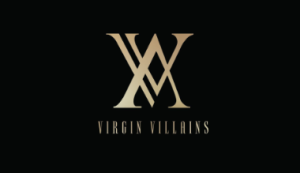 Logo Perusahaan Virginvillains - Lowongan Kerja Host Live Jastip